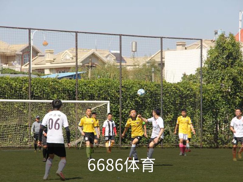 6686体育(中国)官方网站 - 6686 SPORTS